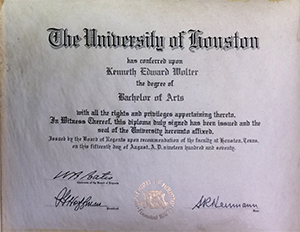 Dr John WorldPeace for President 2020 || Dr John WorldPeace The Maverick Independent Candidate for President USA 2020